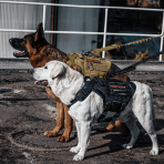 ONETIGRIS TORPEDO Tactical Harness-Accessories-ONETIGRIS-TacSource